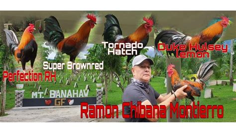 mt banahaw gamefarm|Mt. Banahaw Game farm/Ramon Montierro .